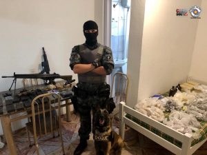 Cachorro pastor alemão da PM encontra armas e drogas em SP