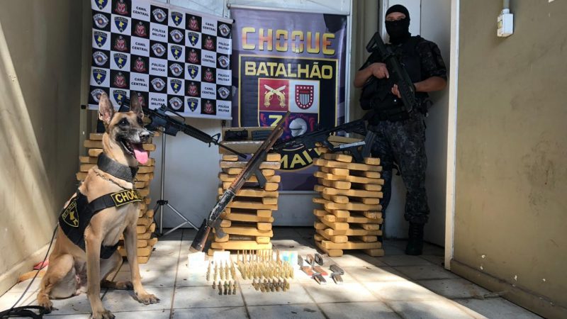 Canil PM auxilia na apreensão de drogas e armas em São Paulo