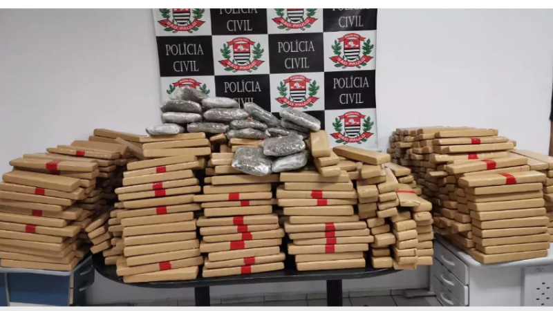 As polícias civil e militar vêm fazendo uma verdadeira caça às drogas no Estado. São várias ocorrências envolvendo toneladas de apreensões