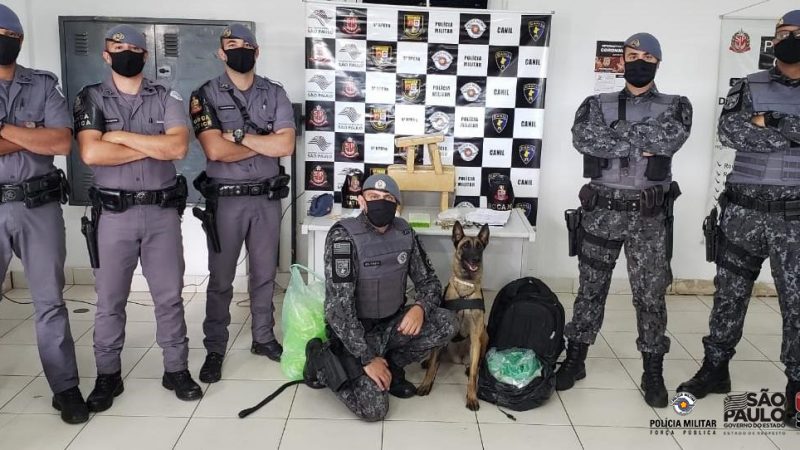 Trio, de 18, 17 e 16 anos, portava mais de 400 porções de droga na Vila Leopoldina e foi pego 5º Batalhão de Policiamento de Choque