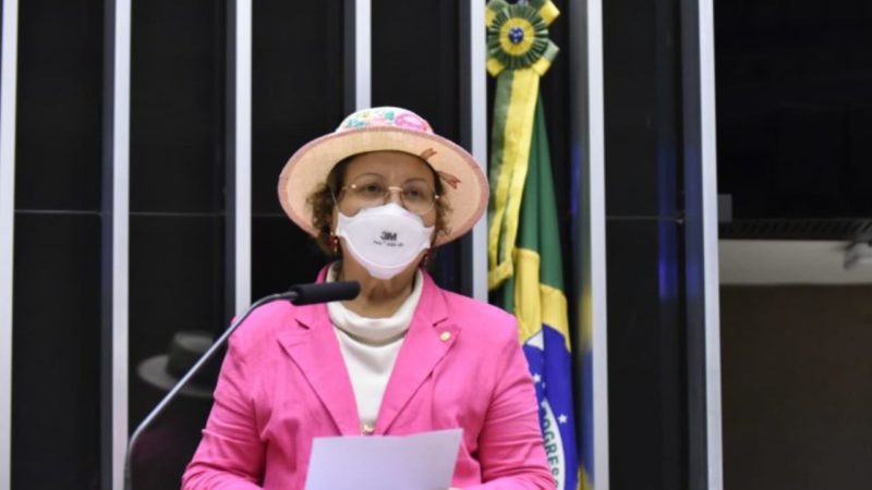 Tereza Nelma, autora do projeto de lei